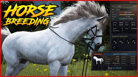 black desert horse breeding